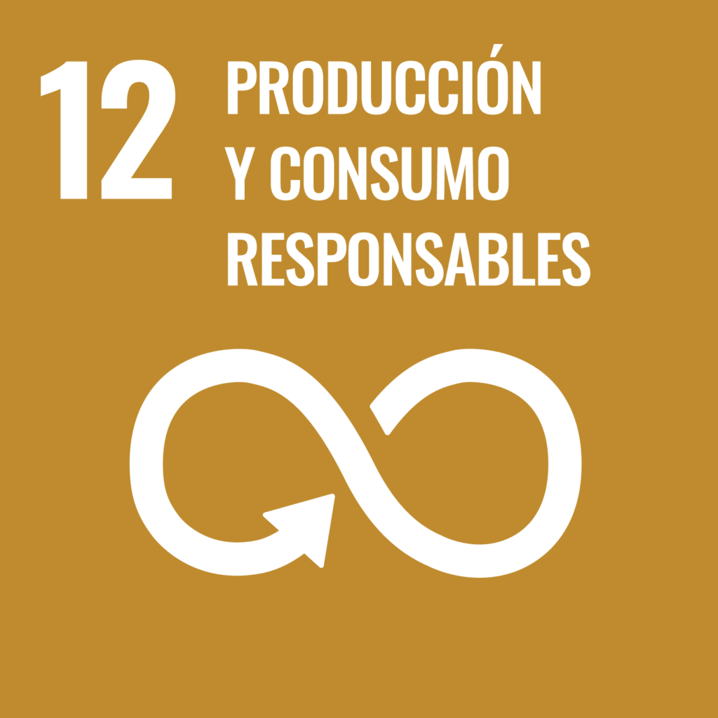 12 produccion y consumo responsable