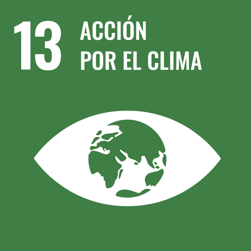 13 accion por el clima