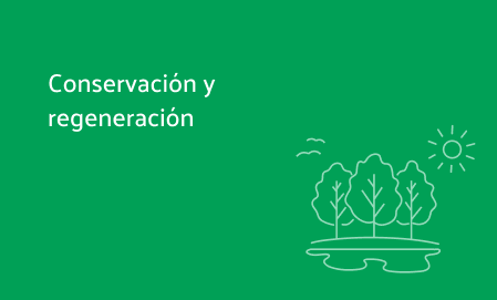 Conservación y regeneración